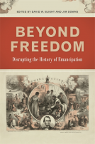 book cover for Beyond Freedom