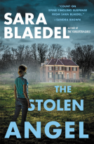 book cover for The Stolen Angel