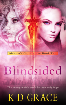 book cover for Blindsided