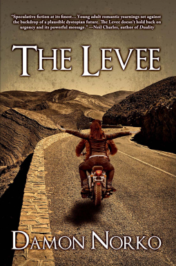 book cover for The Levee