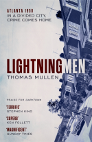 book cover for Lightning Men