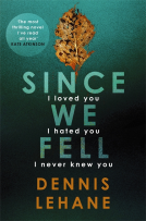 book cover for CWA - Since We Fell