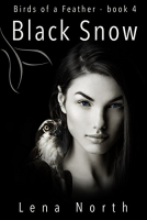 book cover for Black Snow