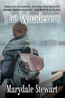 book cover for The Wanderers