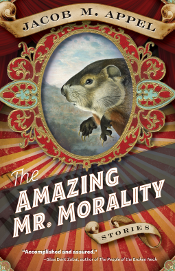 book cover for The Amazing Mr. Morality
