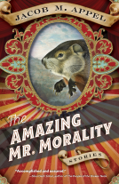 book cover for The Amazing Mr. Morality
