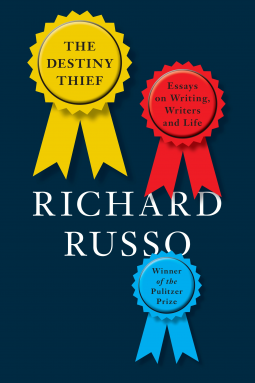 book cover for The Destiny Thief