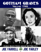 book cover for Gotham Graves - Volume 2