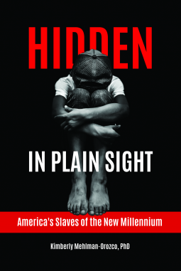 book cover for Hidden in Plain Sight