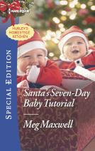 book cover for Santa's Seven-Day Baby Tutorial