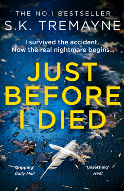 book cover for Just Before I Died