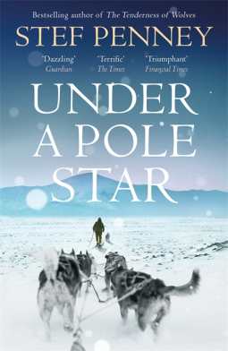 book cover for Under a Pole Star