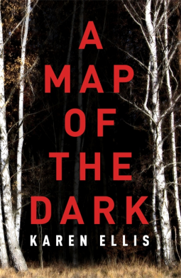 book cover for A Map of the Dark