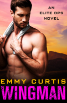 book cover for Wingman