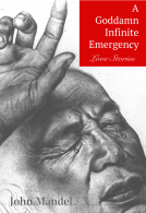 book cover for A Goddamn Infinite Emergency