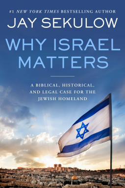 book cover for Why Israel Matters