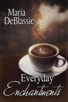 book cover for Everyday Enchantments
