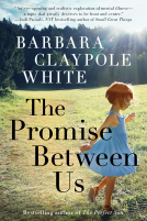 book cover for The Promise Between Us