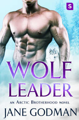 book cover for Wolf Leader