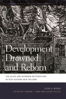 book cover for Development Drowned and Reborn