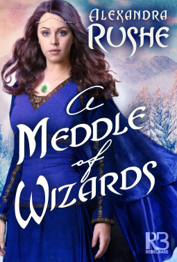 book cover for A Meddle of Wizards