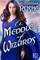 book cover for A Meddle of Wizards