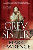 book cover for Grey Sister