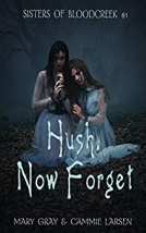 book cover for Hush, Now Forget
