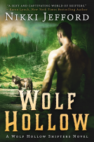 book cover for Wolf Hollow