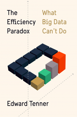 book cover for The Efficiency Paradox