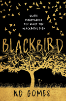 book cover for Blackbird