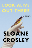 book cover for Look Alive Out There