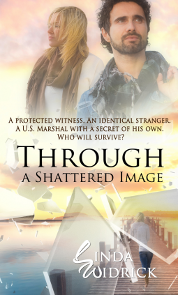 book cover for Through a Shattered Image