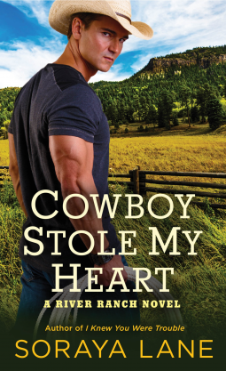book cover for Cowboy Stole My Heart