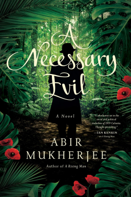 book cover for A Necessary Evil