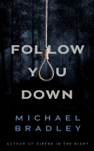 book cover for Follow You Down