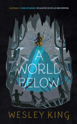 book cover for A World Below