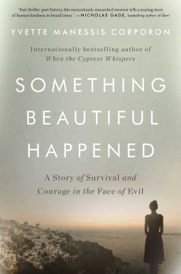 book cover for Something Beautiful Happened