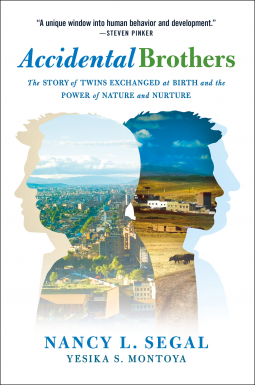 book cover for Accidental Brothers
