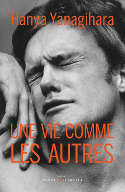 Couverture du livre pour Une vie comme les autres