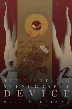 book cover for The Lightning Stenography Device