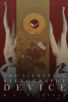 book cover for The Lightning Stenography Device