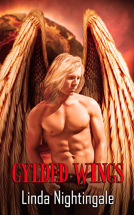 book cover for Gylded Wings