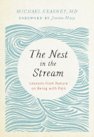 book cover for The Nest in the Stream