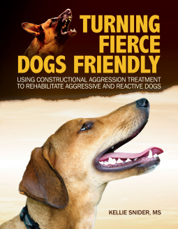book cover for Turning Fierce Dogs Friendly