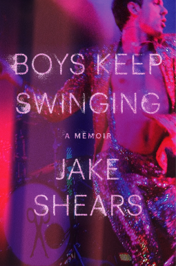 book cover for Boys Keep Swinging