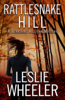 book cover for Rattlesnake Hill