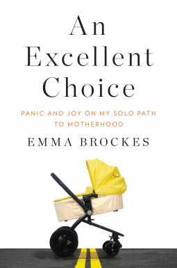 book cover for An Excellent Choice