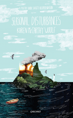 book cover for Seasonal Disturbances