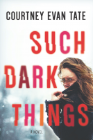book cover for Such Dark Things